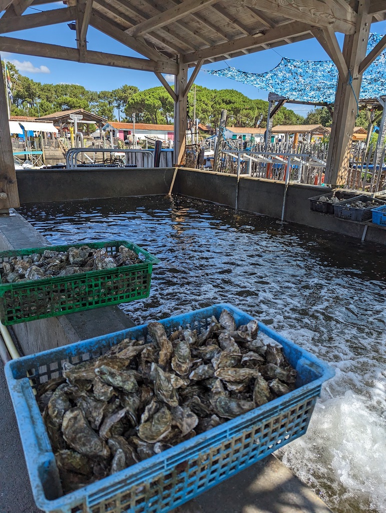 Pxl 20230819 102739281