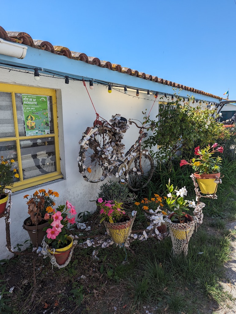 Pxl 20230819 104539327