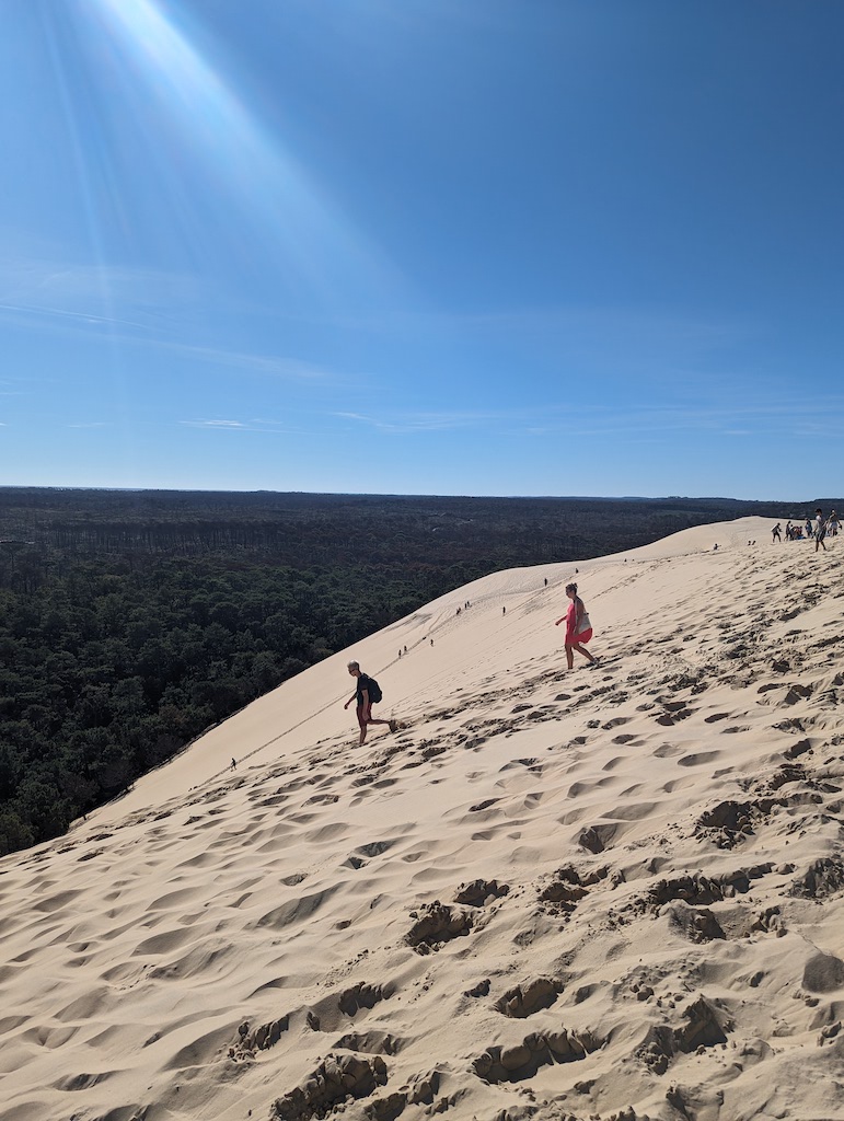 Pxl 20231001 095106433