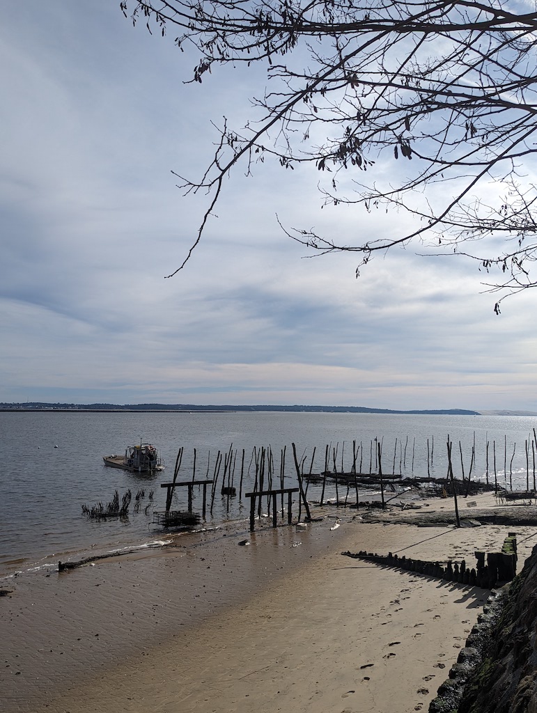 Pxl 20240128 124303661