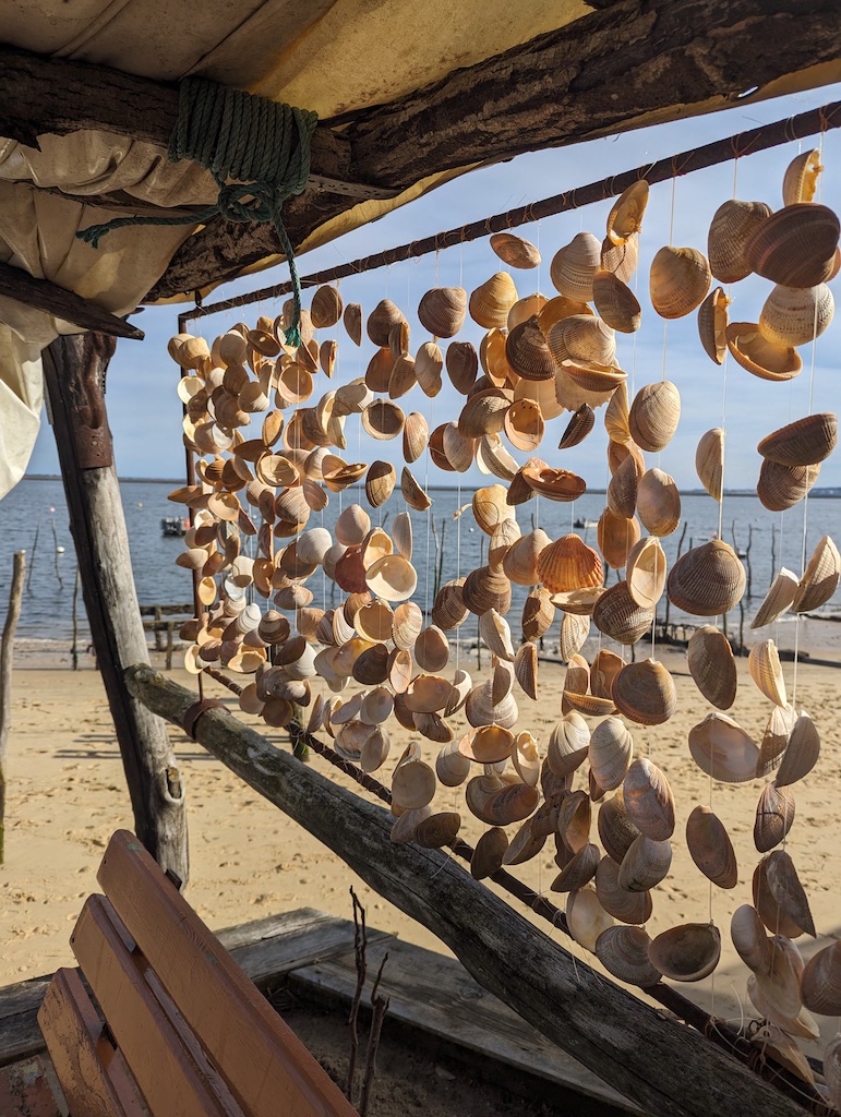 Pxl 20240128 125303009