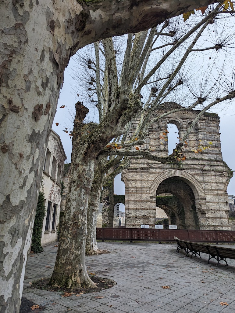 Pxl 20240111 142055141