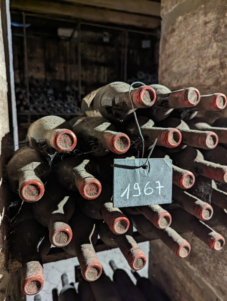 Pxl 20231109 145231610