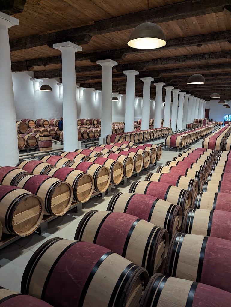 Pxl 20231113 093132364