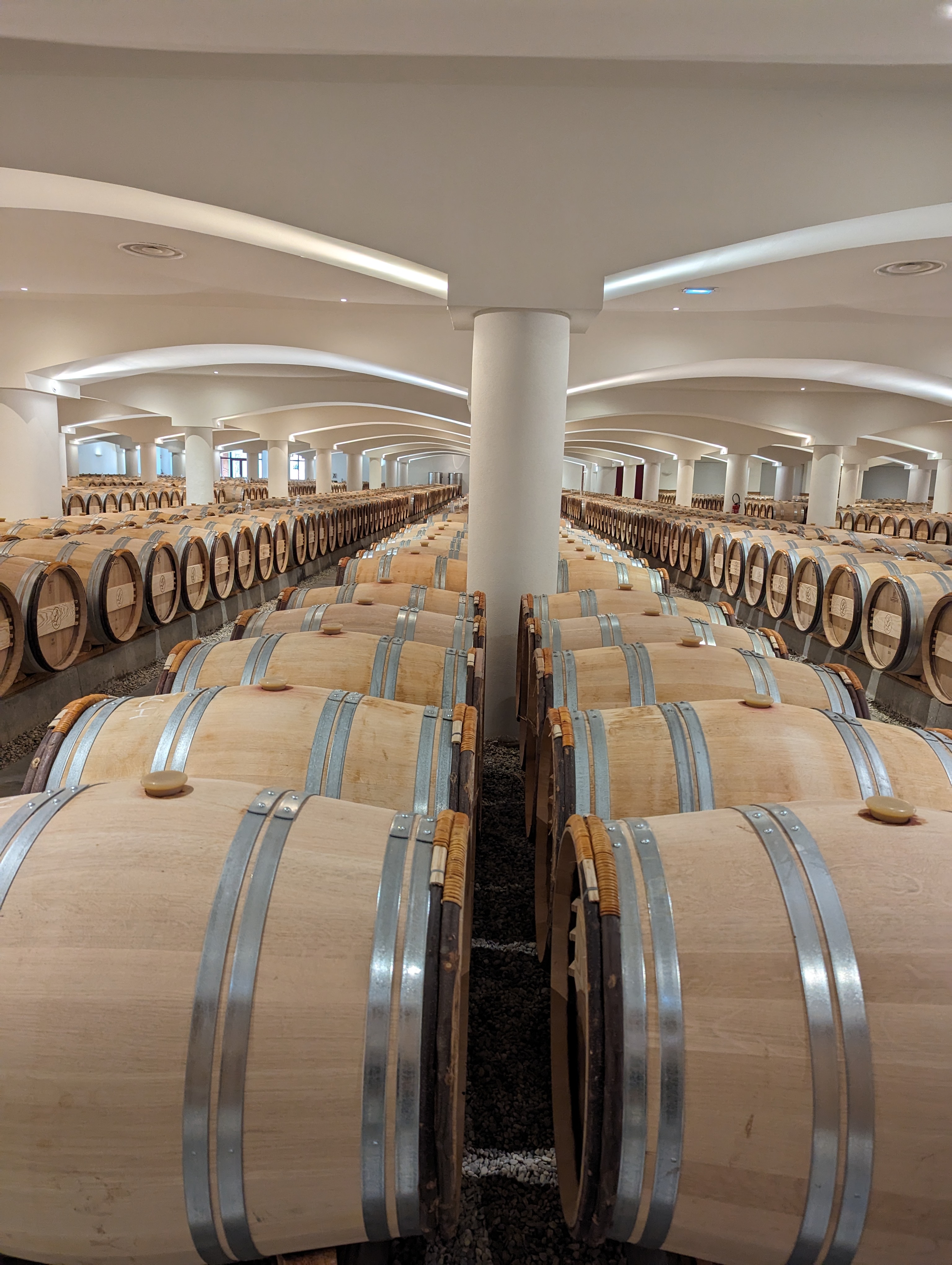 Pxl 20240305 142740843 copy