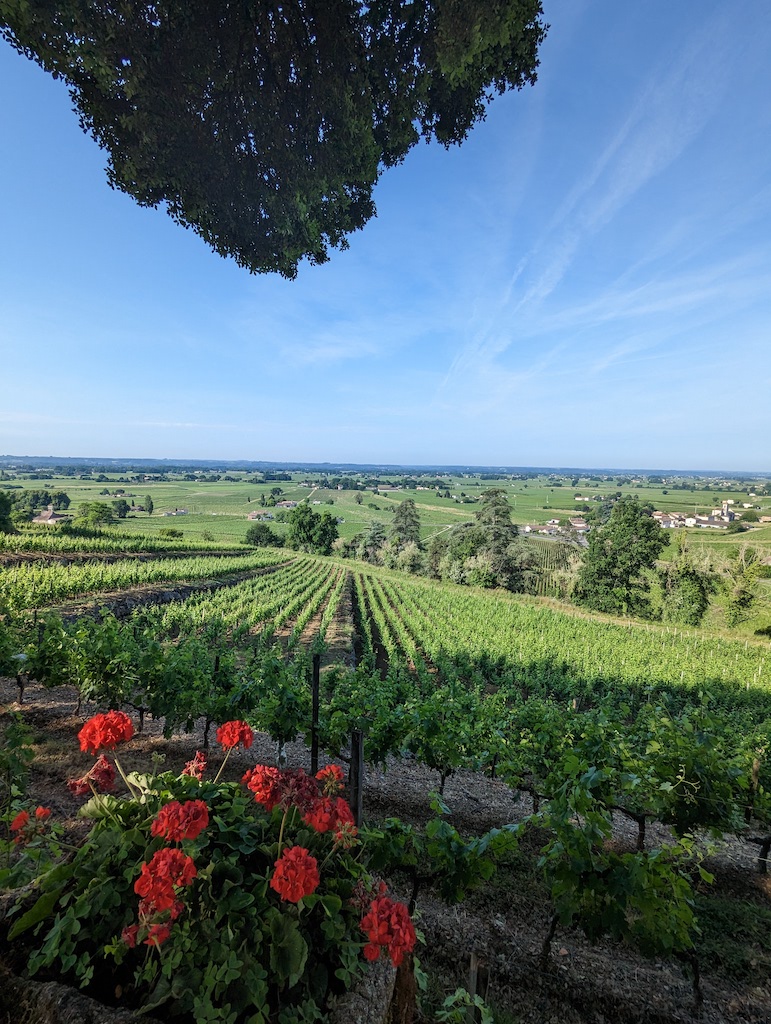 Pxl 20230603 073939981 (1)