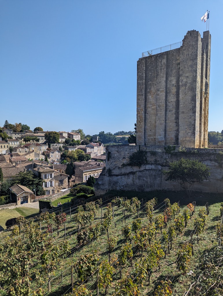 Pxl 20231010 104640780