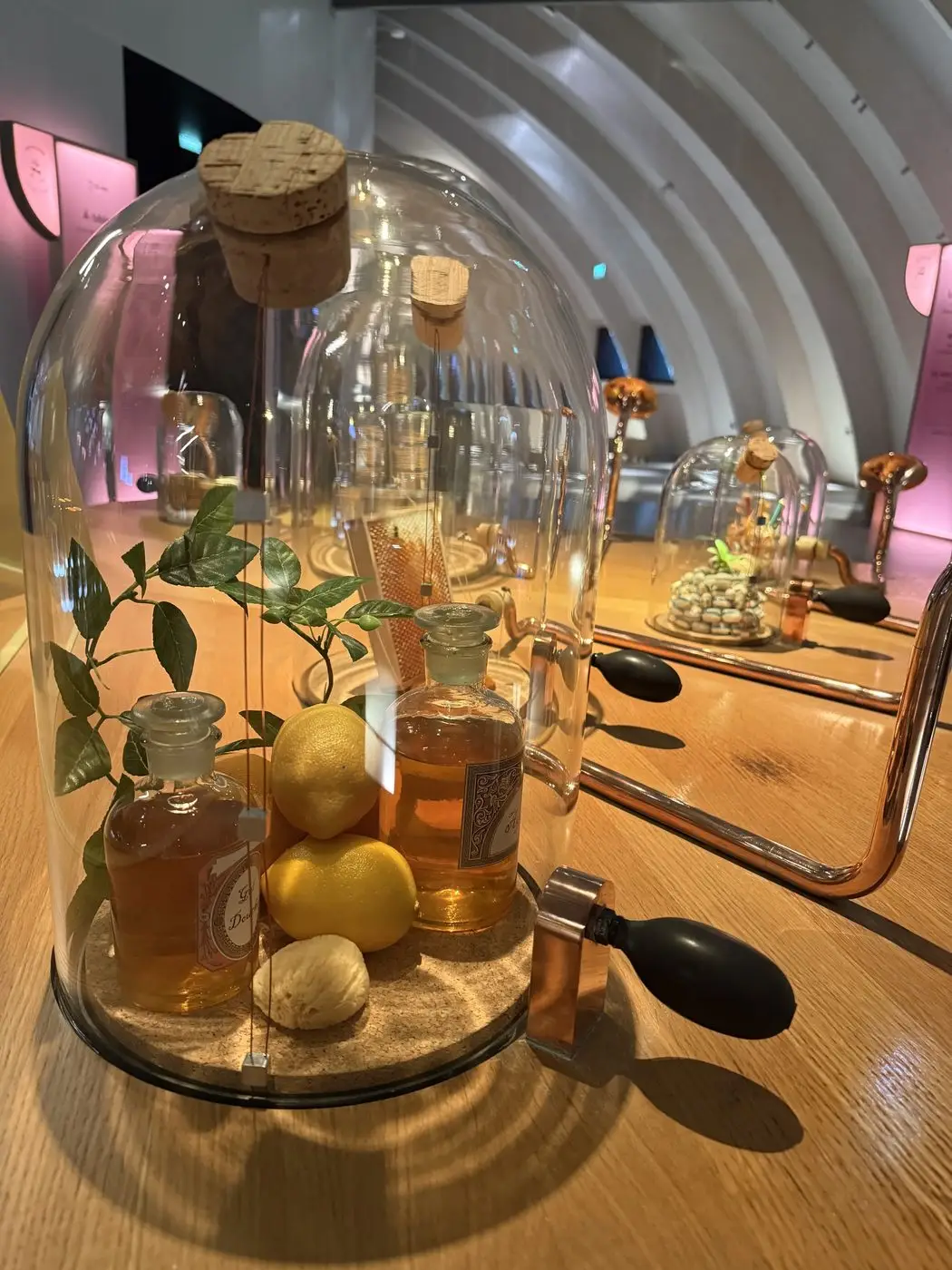 La Cité du Vin — discovering the world of wine — 6