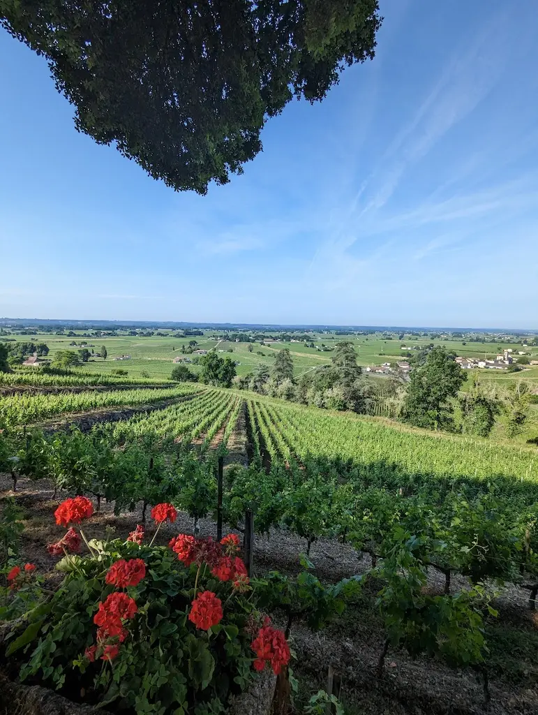 Journée à Saint-Émilion — 2