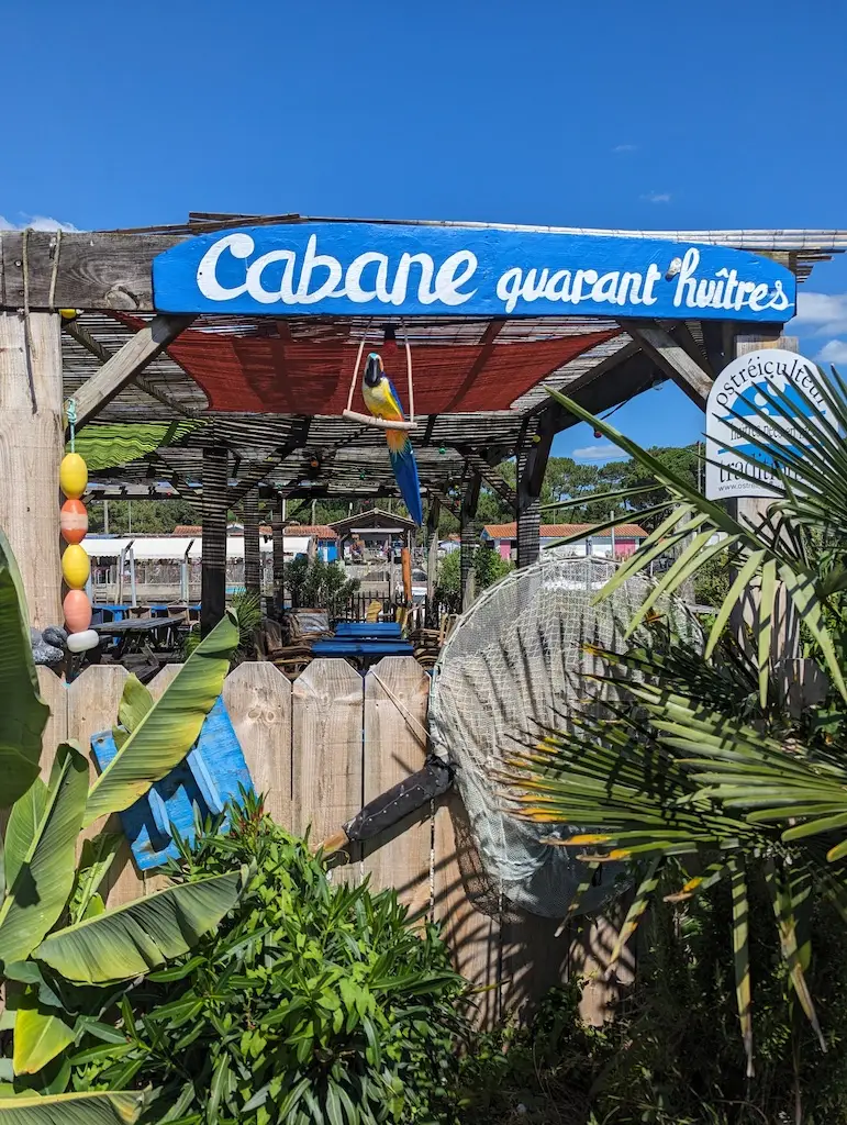 La dune du Pilat, un festin d'huîtres et la station d'Arcachon — 8