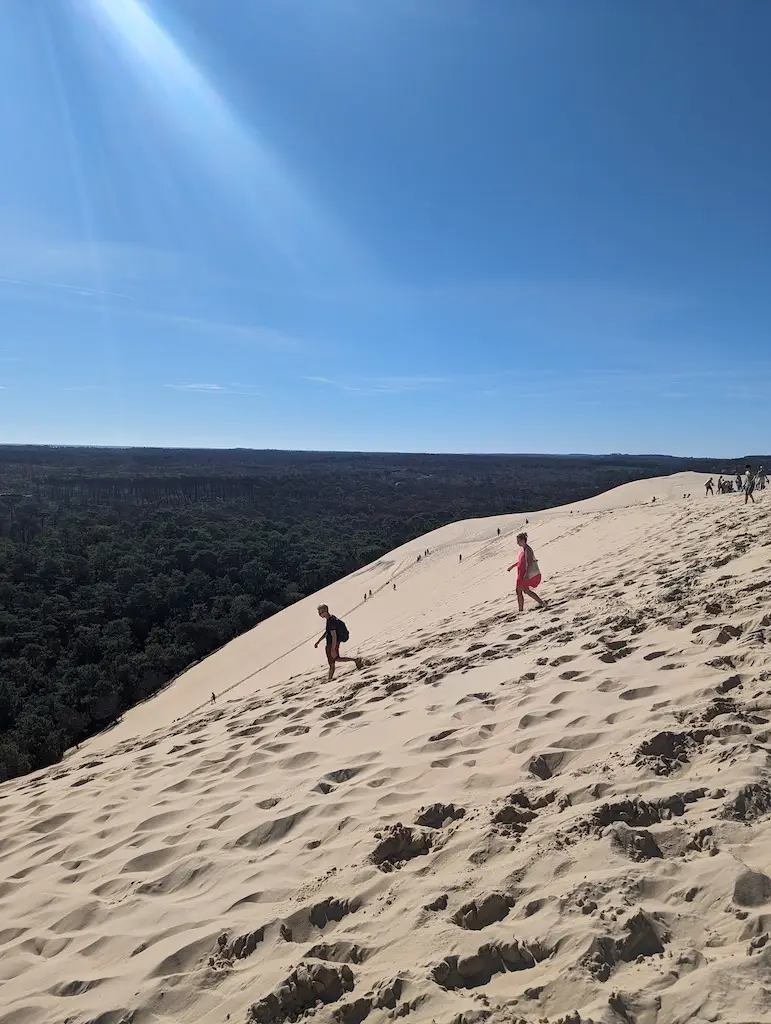 La dune du Pilat, un festin d'huîtres et la station d'Arcachon — 15