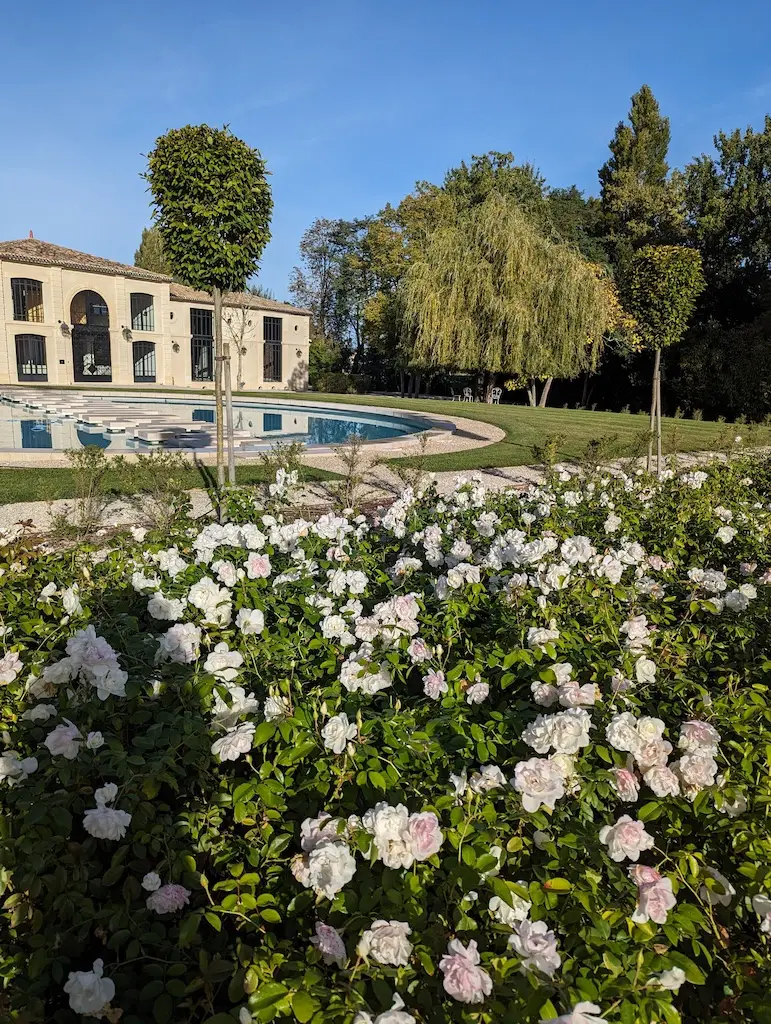 Journée à Saint-Émilion — 11