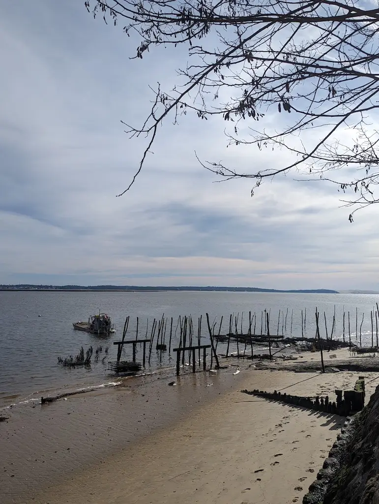 La dune du Pilat, un festin d'huîtres et la station d'Arcachon — 20