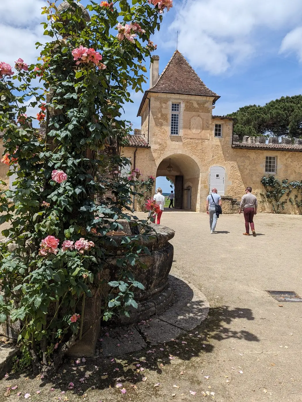 Sauternes — nectar of the gods — 6