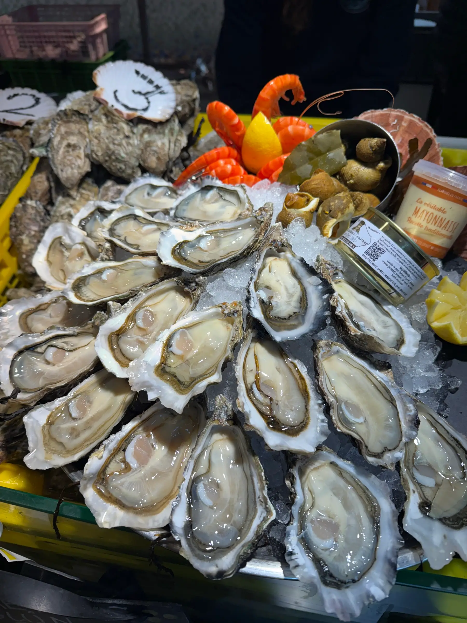 La dune du Pilat, un festin d'huîtres et la station d'Arcachon