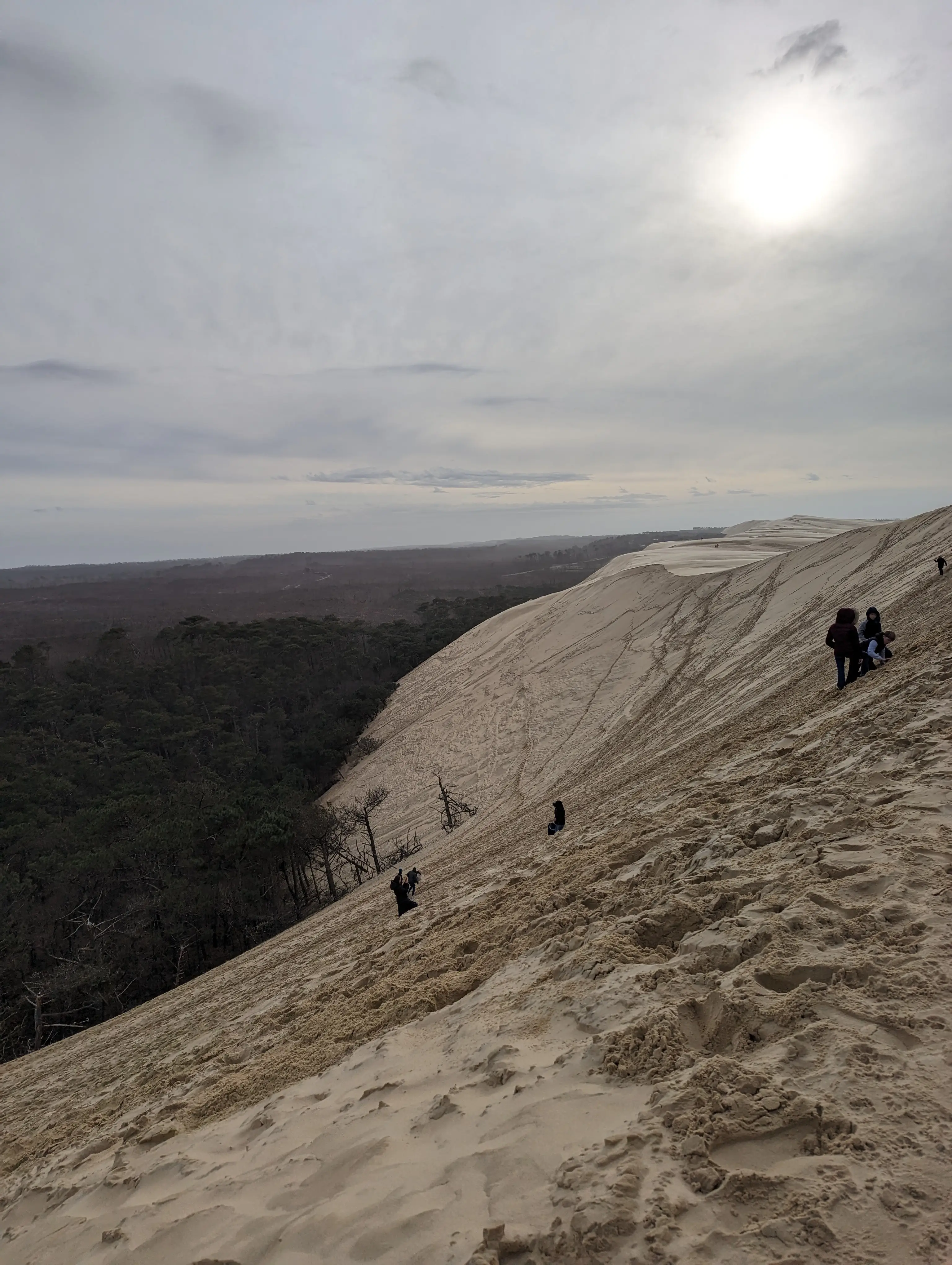 La dune du Pilat, un festin d'huîtres et la station d'Arcachon — 6
